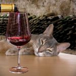 Wine & Cats